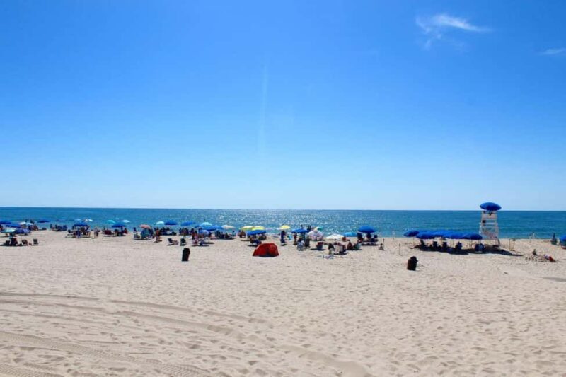 NYC: Hamptons Private Day Tour - The Sum Up