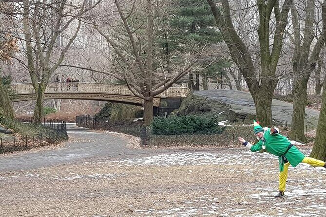 NYC Holiday Lights and Magic Pedicab Tour - Who Should Consider This Tour?