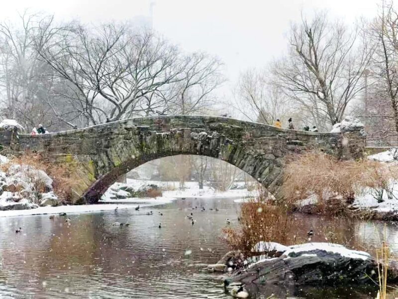 NYC: Home Alone 2 & Elf Locations Tour in Central Park Tour - Authentic Experiences and Practical Tips