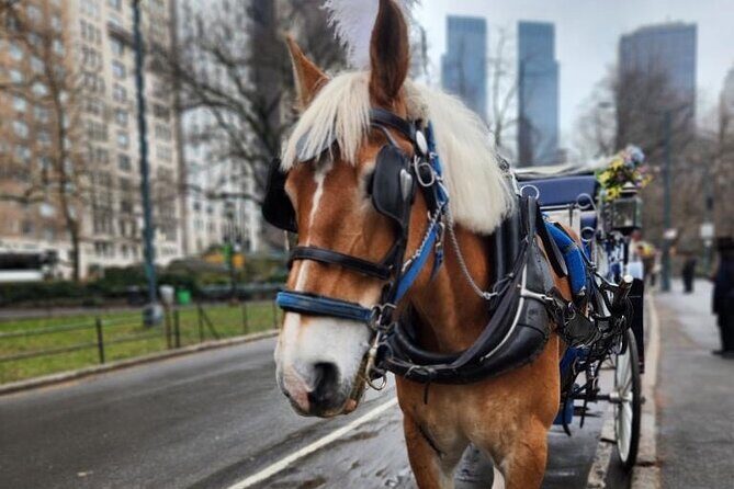 NYC Horse and Carriage Central Park Tours - Experience Central Park in Style with a Horse and Carriage Tour