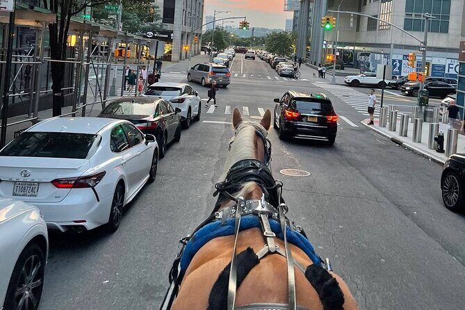 NYC Horse and Carriage Central Park Tours - FAQ