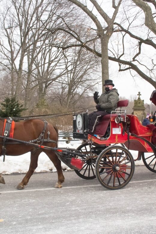 NYC Horse Carriage Ride in Central Park (65 min) - A Closer Look at the Experience