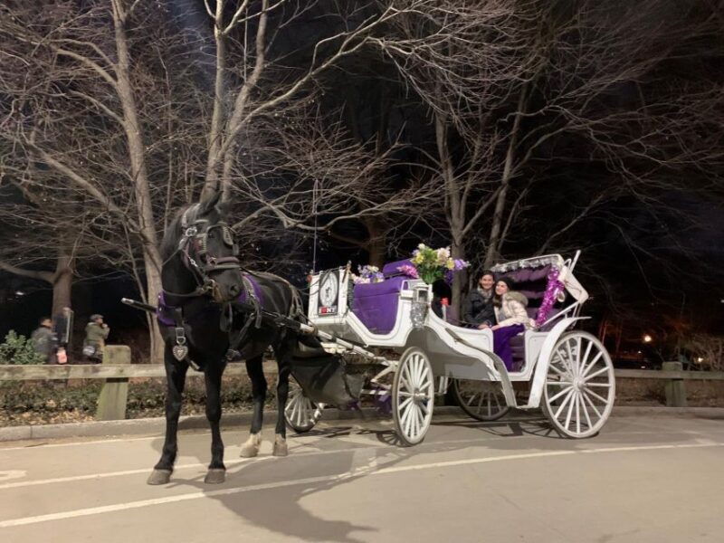 NYC Horse Carriage Ride in Central Park (65 min) - Final Thoughts: Is This Tour for You?