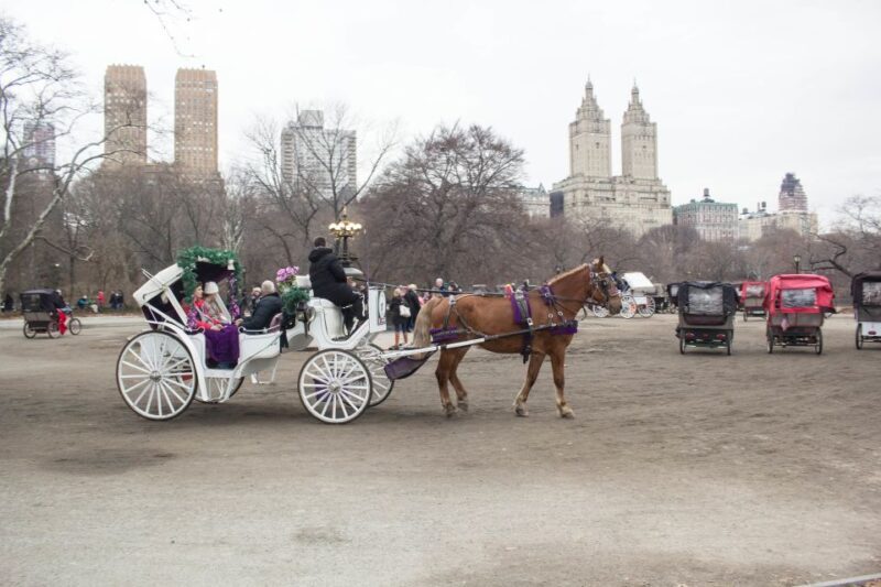 NYC Horse Carriage Ride in Central Park (65 min) - Frequently Asked Questions