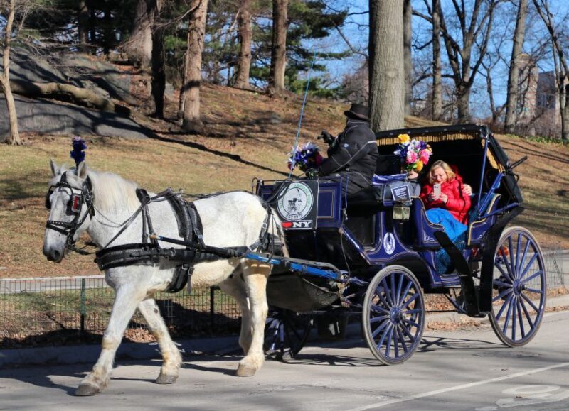 NYC Horse Carriage Ride in Central Park (65 min) - Final Word