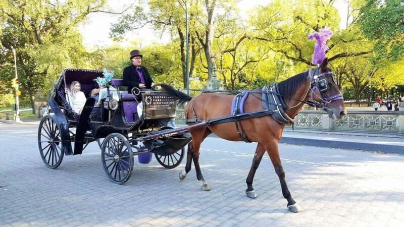 NYC: Long Central Park Horse Carriage Ride with Photo Stop - FAQ