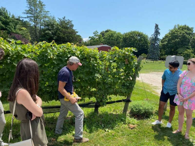 NYC: Long Island Sommelier-Guided Wine Tasting Tour - Final Thoughts: Who Should Consider This Tour?