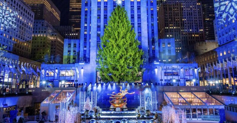 NYC: Magical Christmas Lights Carriage Ride - Who Should Consider This Tour?
