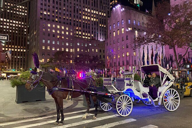 NYC : Magical Christmas Lights Private Horse Carriage Ride - A Warm Ride Through Holiday Manhattan: The NYC Magical Christmas Lights Private Horse Carriage