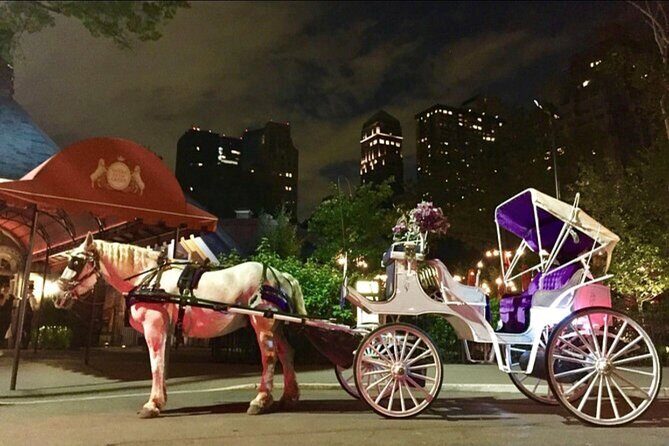 NYC : Magical Christmas Lights Private Horse Carriage Ride - An In-Depth Look at the Private Horse Carriage Ride