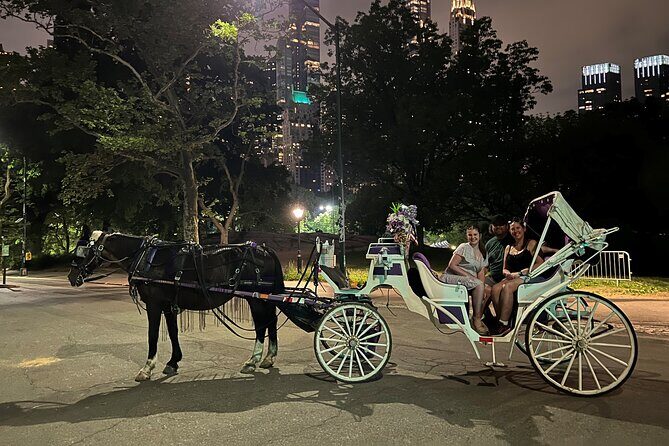 NYC : Magical Christmas Lights Private Horse Carriage Ride - Who Should Consider This Tour?