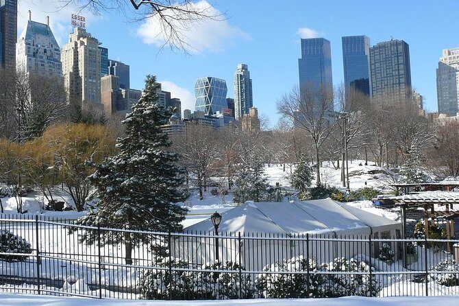 NYC Manhattan Private Custom Christmas Tour with a Local Guide - Who Should Consider This Tour?