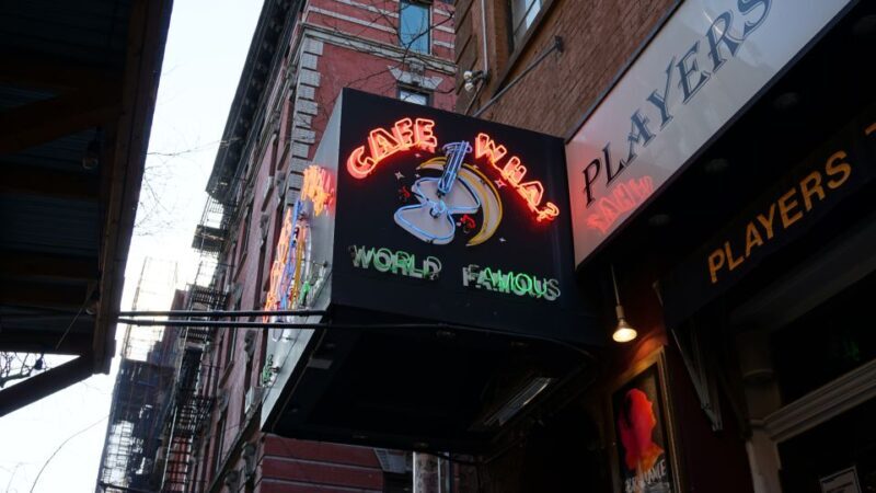 NYC: New York City History of Stand-Up Comedy Tour - Who Would Love This Tour?
