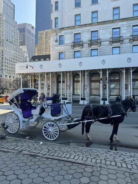 NYC: Private Central Park and NYC City Tour - FAQ