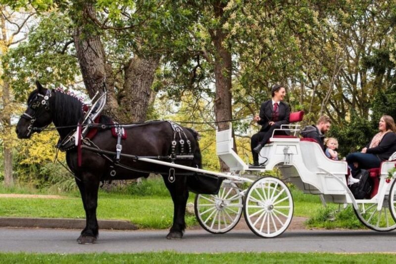 NYC: Private Central Park Horse Carriage Ride with Guide - Breakdown of the Itinerary and Stops
