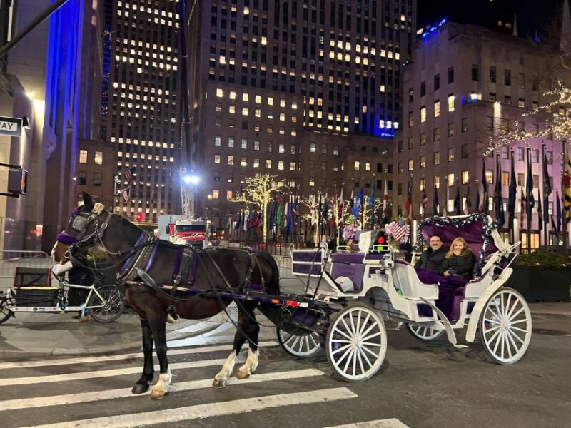 NYC: Private Central Park Horse Carriage Ride with Guide - Final Thoughts