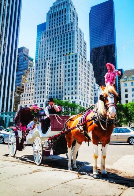 NYC Private Central Park Horse Carriage Ride with Guide - Key Points