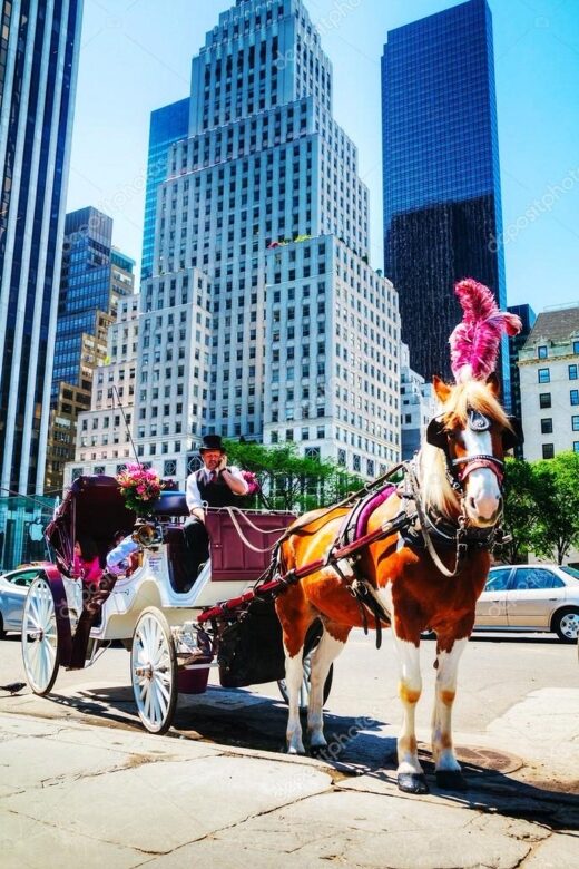 NYC Private Central Park Horse Carriage Ride with Guide - An In-Depth Look at the Central Park Horse Carriage Ride