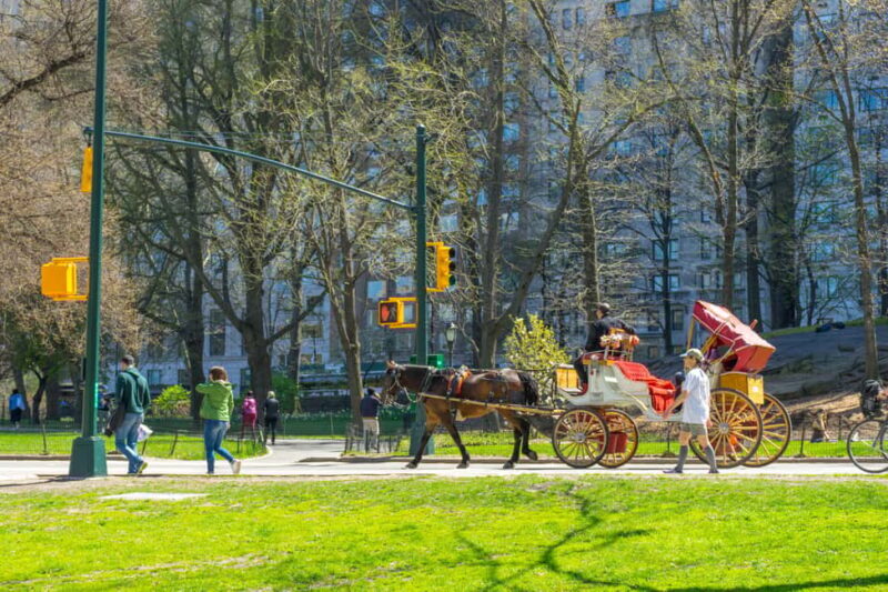 NYC Private Central Park Horse Carriage Ride with Guide - FAQ