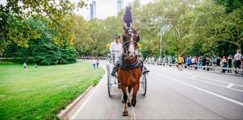 NYC: Private Christmas Lights Horse Carriage Ride - What Itinerary Looks Like