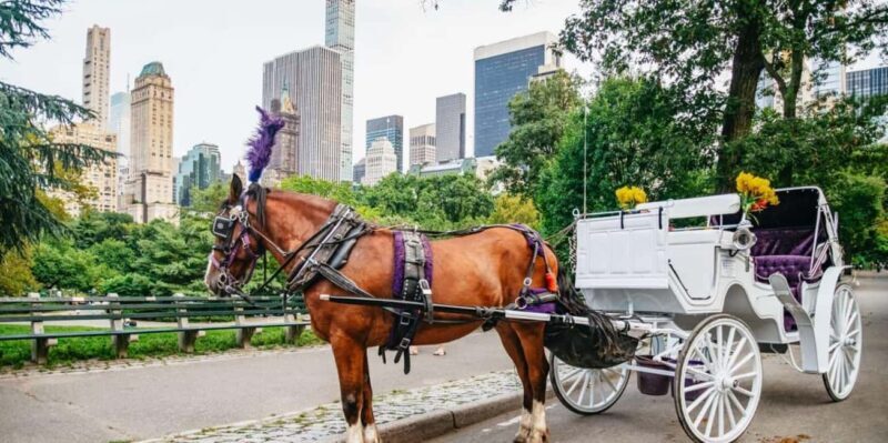 NYC: Private Christmas Lights Horse Carriage Ride - Comfort and Practicalities