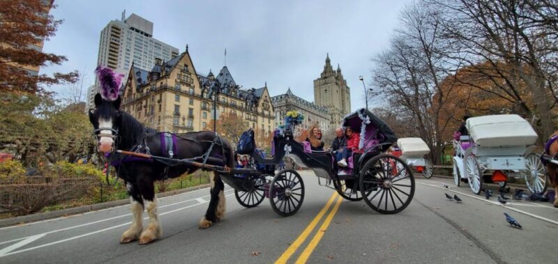 NYC: Private Christmas Lights Horse Carriage Ride - Considerations and Limitations