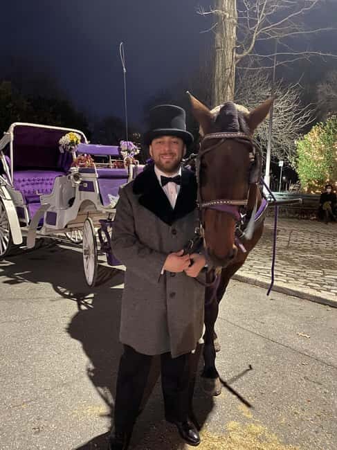 NYC: Private Christmas Lights Horse Carriage Ride - NYC: Private Christmas Lights Horse Carriage Ride — A Guide to Holiday Magic in the Big Apple