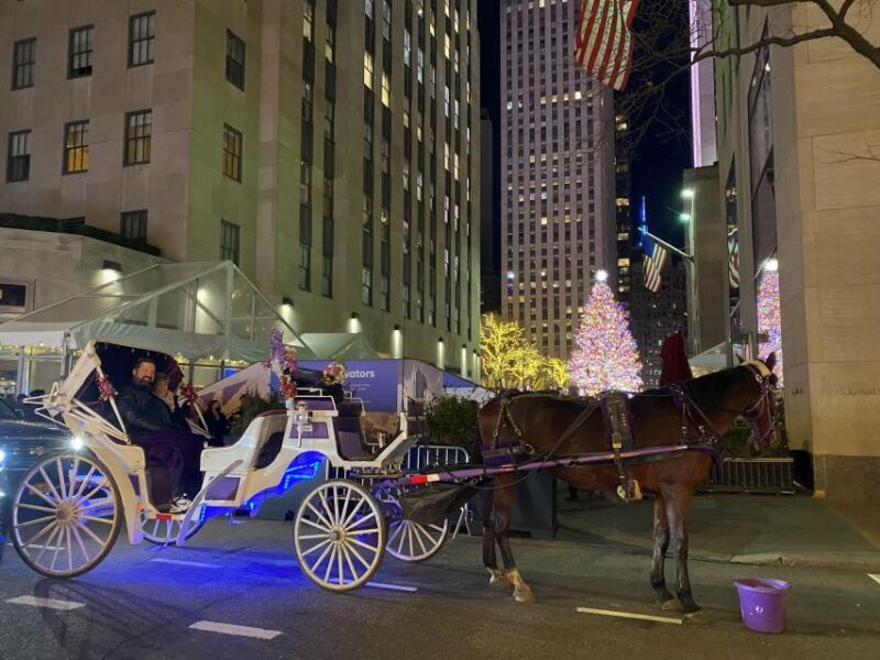 NYC: Private Christmas Lights Horse Carriage Ride - Is This Tour Worth It?