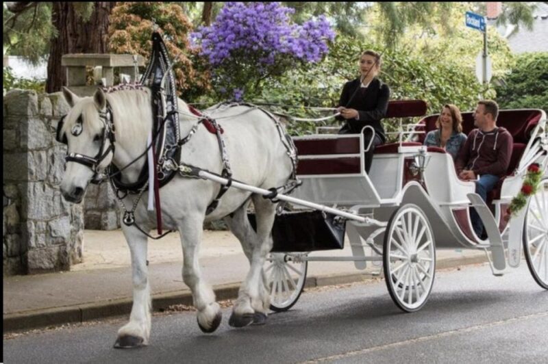NYC: Private Christmas Lights Horse Carriage Ride - FAQ