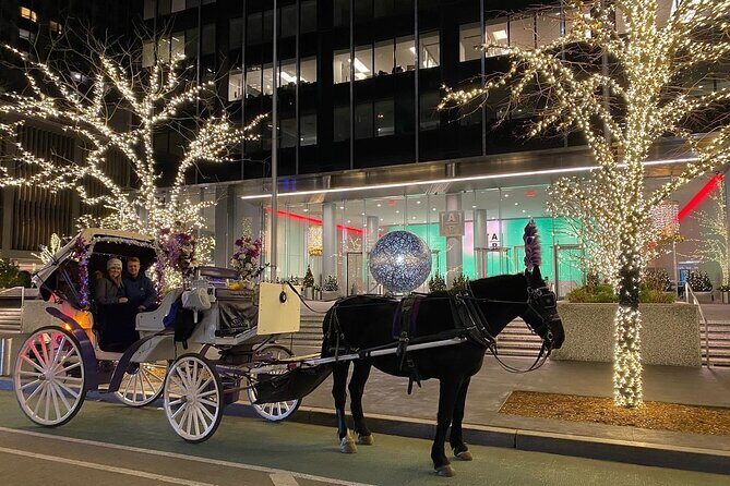 NYC Rockefeller Center Christmas Lights Horse Carriage Ride - Key Points