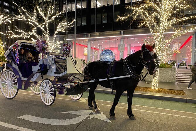 NYC Rockefeller Center Christmas Lights Horse Carriage Ride - Final Words