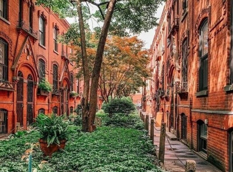 NYC: Soho, Little Italy and Chinatown Private Walking Tour - Why We Think This Tour Offers Good Value