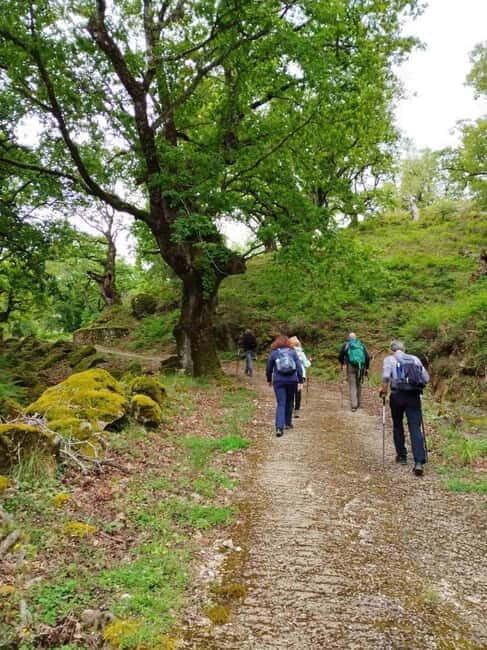 Nydri: Discover Local Culture, History & Beauty Guided Hike - Frequently Asked Questions
