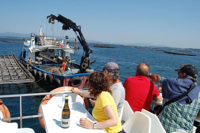 O Grove: Boat Tour at the Arousa estuary with mussel tasting - Who Would Love This Experience?