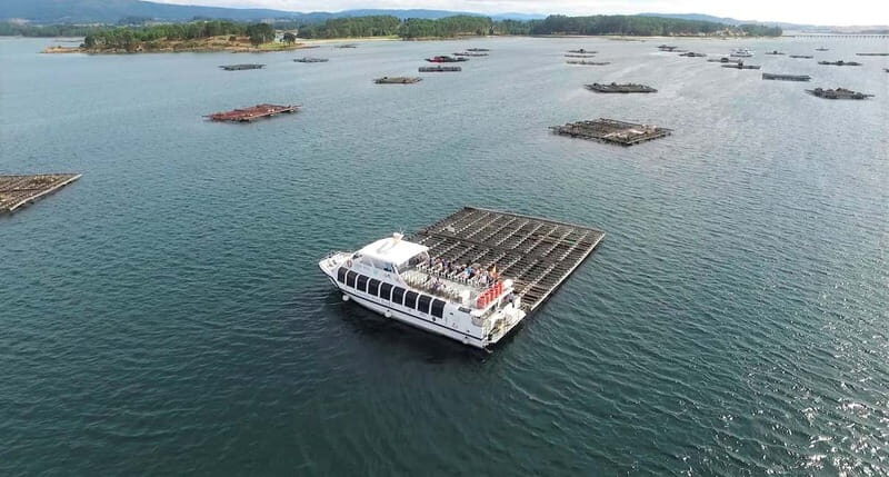 O Grove: Boat Tour with Mussel Tasting and Wine - The Itinerary in Detail