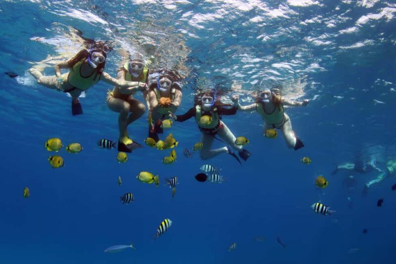 Oahu: 3 Zipline & All Inclusive Dolphin Watch Snorkel Cruise - FAQs