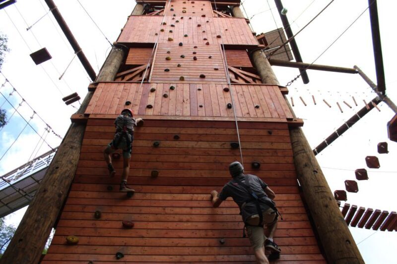 Oahu: Aerial Adventure, Climbing, & Freefall Experience - Who Will Love This Tour?