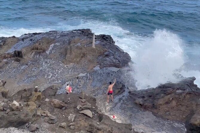 Oahu Allstar Circle Island Tour: Dole, Turtles. Blowhole, Fun - The Sum Up