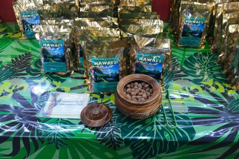 Oahu: Beauty and the Feast Circle Island Experience - Oahu: Beauty and the Feast Circle Island Experience — An In-Depth Review