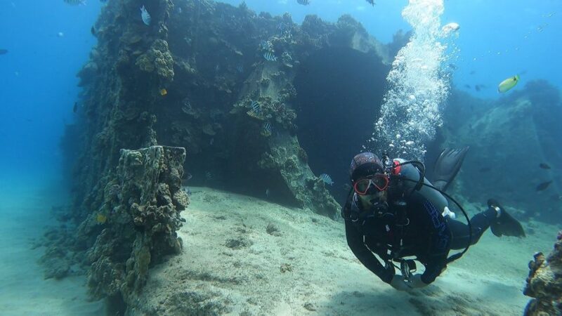 Oahu: Beginner SCUBA Dive at Electric Beach - Oahu: Beginner SCUBA Dive at Electric Beach — A Practical Guide to Your First Underwater Adventure