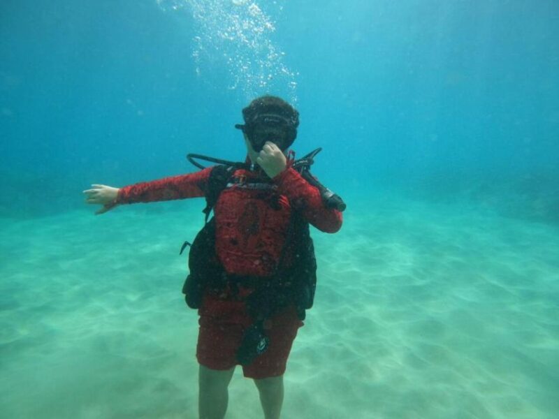 Oahu: Beginner SCUBA Dive at Electric Beach - Who Should Consider This Tour?
