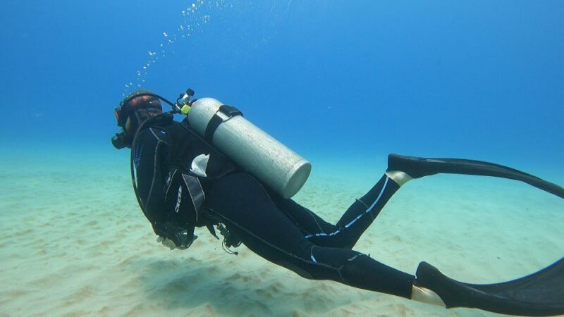 Oahu: Beginner SCUBA Dive at Electric Beach - Final Thoughts