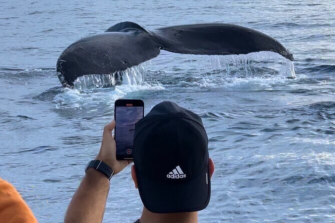 Oahu Boat Tour Ko Olina Experience - Key Points