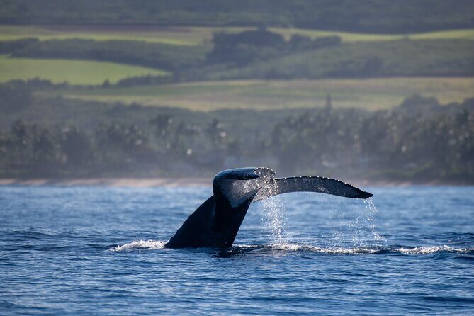 Oahu Boat Tour Ko Olina Experience - FAQ