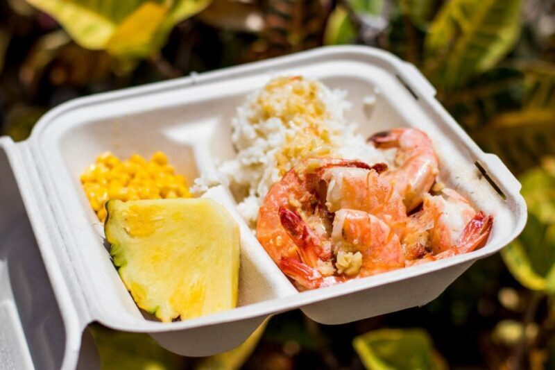 Oahu: Circle Island Day Trip with Shrimp Plate Lunch - Key Points