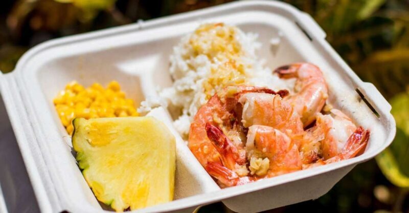 Oahu: Circle Island Day Trip with Shrimp Plate Lunch - Who Will Love This Tour?