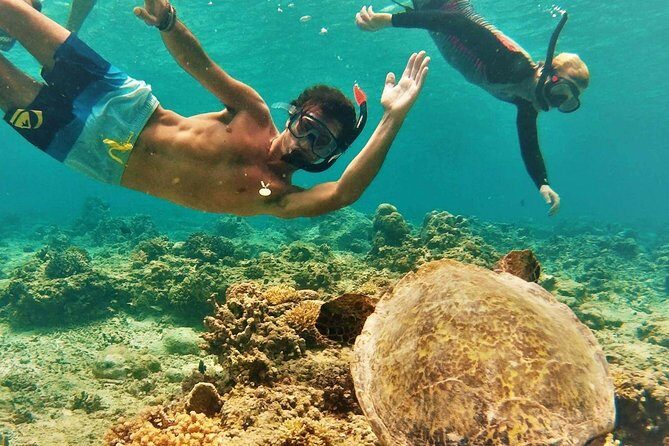 Oahu Circle Island: Snorkel with Turtles & Explore Turtle Beach - Transportation, Group Size, and Practicalities