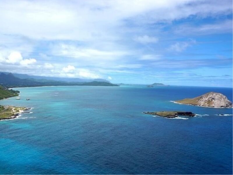 Oahu Circle Island Tour with Byodo-In Temple Admission - The Experience: What We Love