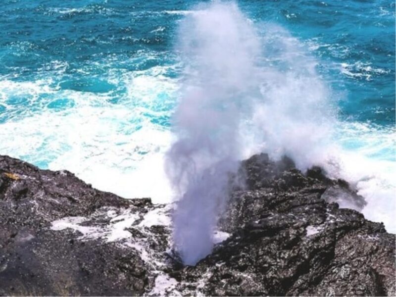 Oahu Circle Island Tour with Byodo-In Temple Admission - Who Is This Tour Best For?