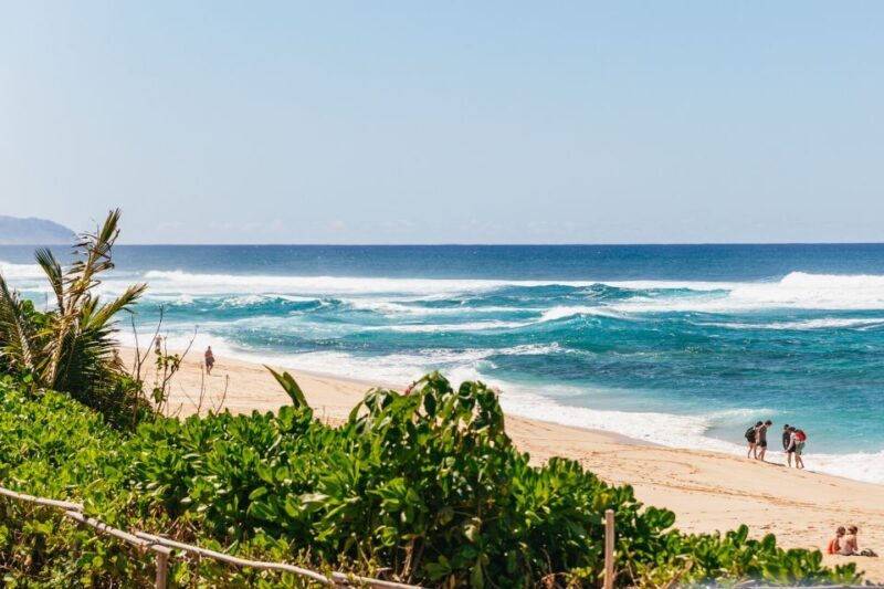 Oahu: Circle Island Tour with Lunch & Waimea Waterfall - Discover Oahu with the Circle Island Tour: An In-Depth Look